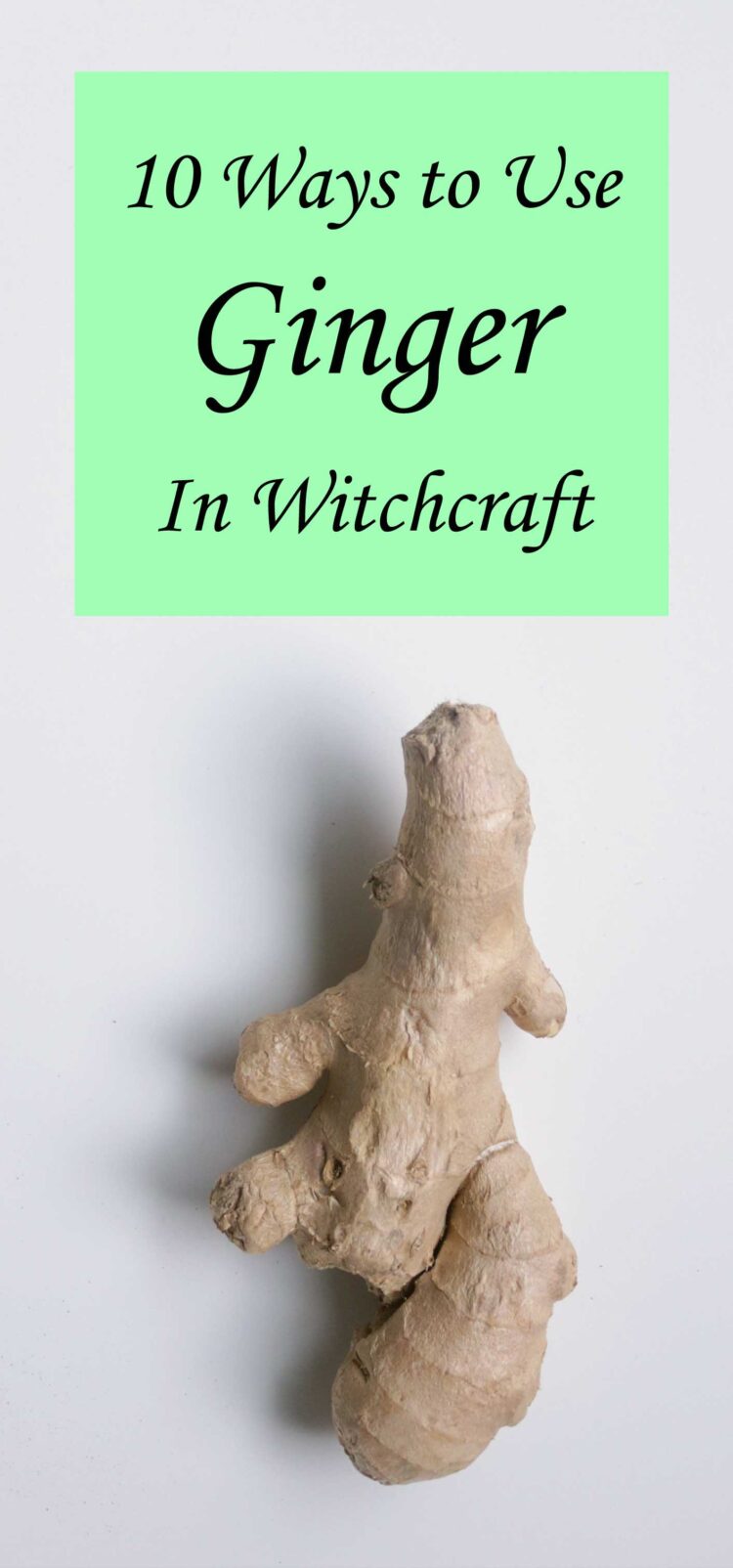 Ginger Spell 10 Ways to Use Ginger in Witchcraft