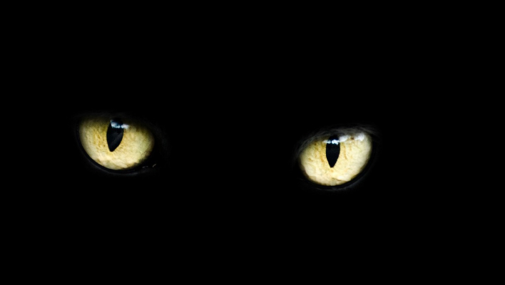 What is a Curse: Types, Protection, Breaking One
