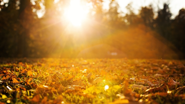 Cómo honrar el otoño