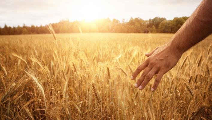 An Enchanting Prayer for Lughnasadh [5 Min Chant]