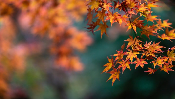 Prayer for Mabon featured image