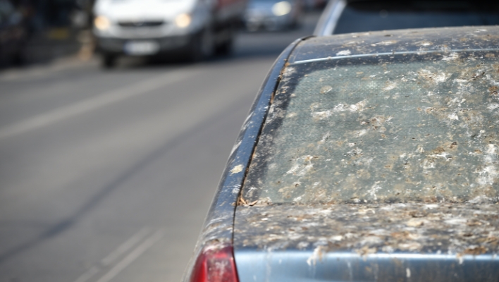 caca de pájaro en un coche imagen destacada de magickal spot