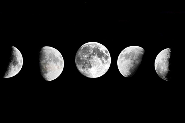 Gráfico destacado de Moon Magick Herbs