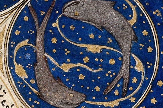 Piscis Animal Espiritual gráfico destacado