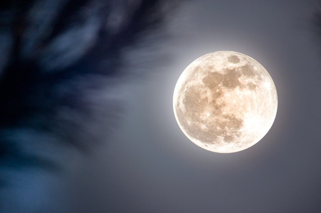 Powerful Incenses for the Full Moon featured graphic