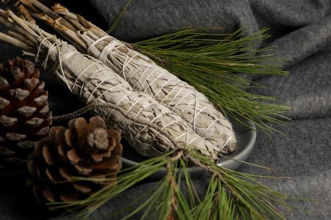 fabricación de palitos de cedro