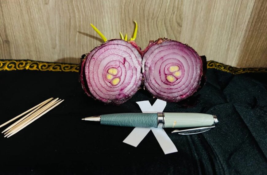 Hechizo de ruptura con cebolla (DIY Cast Along)