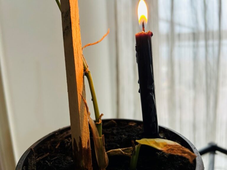 8 Ways to Use Black Candles in Witchcraft (DIY With Pictures)