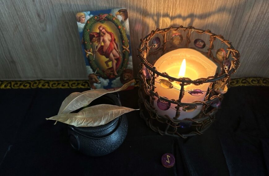 How to Use Laurel in Witchcraft featured image by magickal spot