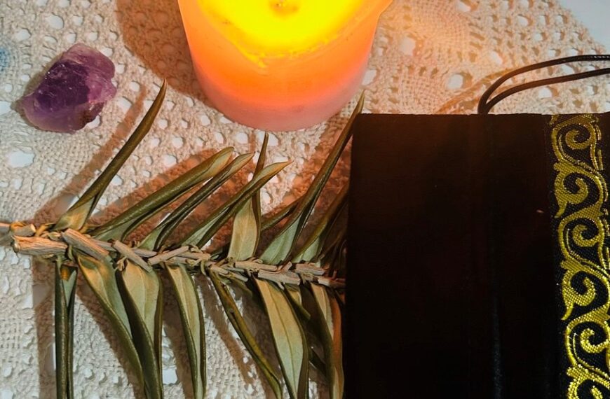 How to Use Olive Leaves in Witchcraft featured image by magickal spot